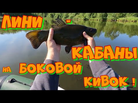 Ловля ОГРОМНОГО ЛИНЯ на ПРОСТУЮ оснастку !