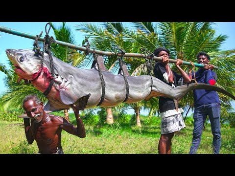120 KG SEA MONSTER DOLPHIN SHARK | Village Traditional Sura Puttu Recipe | CuttinG and Cooking Shark