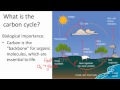 Exploring the Carbon Cycle