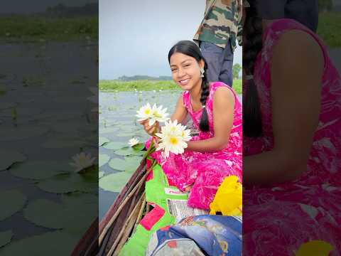 দাদুর জমি থেকে শাপলা তুলছি🤪 #village #minivlog #shortvideo #viralvideo #bengali #shorts #video