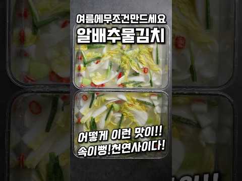 [⭐️120만⭐️]  알배추물김치 담는법 여름에 무조건 만드세요 #shorts #알배추김치 #여름동치미