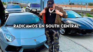 Radicamos en South Central - Fuerza Regida, Junior H, Peso Pluma, Natanael Cano, (Corridos 2023)