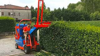 Best Lawn Mower and Equipment For Garden You Need Now