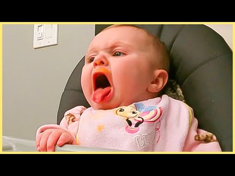 Funny Baby Videos That Will Make You Laugh Out Loud
