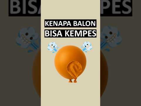 Nahh jadi.. siapa yang pernah beli balon gas buat ospek, tiba tiba kempes sendiri pas besoknya 😬✋