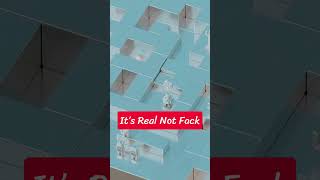 Crop Circles in Crossy Road