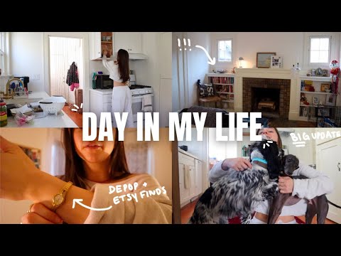 VLOG: catching you up!! + introducing my new dog & LA fires...