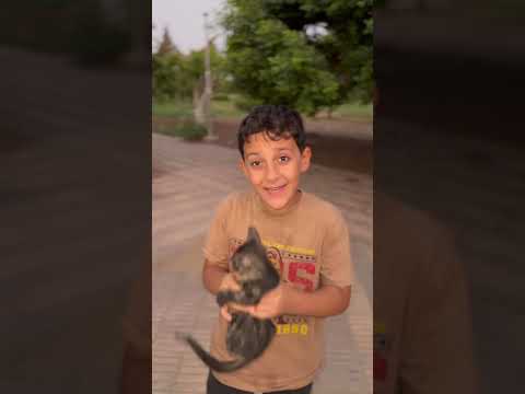القطه الخارقه!😱
