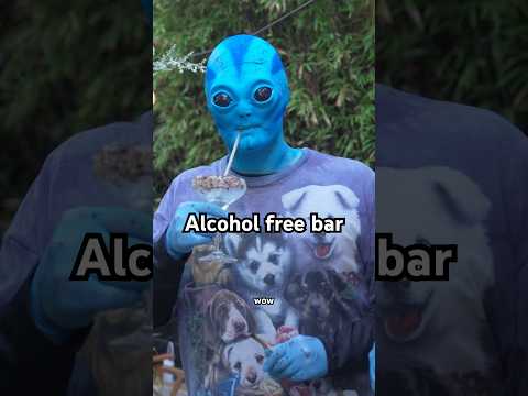 Have you humans ever been to a poison free bar!? It’s fantastic!