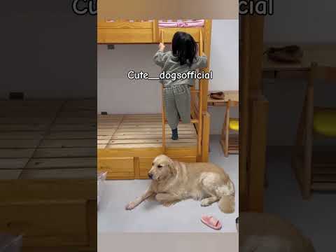 unconditional love ❤️😘 #viralvideo #dog #live #viralvideo #funnyvideo #dog #baby #lovesong #respect