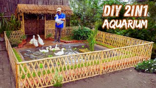 Raising fish and ducks together? Here’s how to build 2in1 aquarium