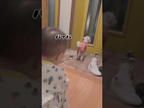 【癒し】可愛すぎるお出迎えを受けて仕事の疲れが吹き飛んだ！ #baby #cute #shorts