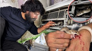 AC में घुसा सांप को कैसे रेस्क्यू किया गया! How the snake that got into the AC was rescued! 😱