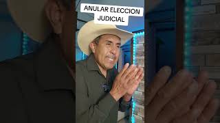 Todavia quieren anular la eleccion judicial
