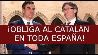 ¡SÁNCHEZ OBLIGARÁ a que se ATIENDA EN CATALÁN en TODA ESPAÑA!