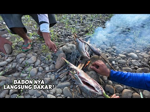 Mancing pas di pinggir tambak nya warga,Ikan nya rakus sekali sampai kewalahan saya narik nya