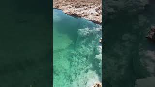fresh salt from Egypt
