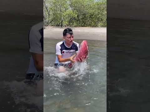 PESCADO GIGANTE😱 #shorts