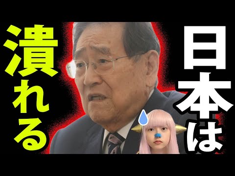 野田毅 財務省 SNS中傷 で 日本は潰れる ！ 国民民主 103万円の壁 批判 ！ SNS規制 ！ 森永卓郎 のお言葉