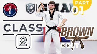 Nunchaku - Brown Chevron - Class 2