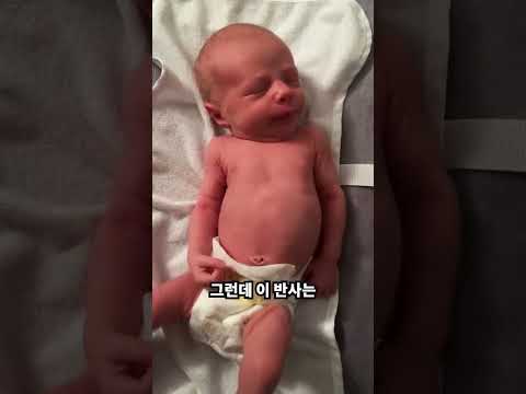 아기를 김밥처럼 만드는 이유