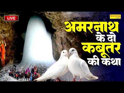 Live рд╢рд┐рд╡ рдЬреА рдХреА рдХрдерд╛ :- рдпрд╣ рдЕрдорд░рдирд╛рде рдХреА рдХрдерд╛ рд╕реБрдирддреЗ рд╣реА рд╢рд┐рд╡рдЬреА рд╕рднреА рдЗрдЪреНрдЫрд╛рдкреВрд░реНрдг рдХрд░реЗрдВрдЧреЗ|Amarnath Shiv Katha 2024