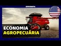 Climate and Agricultural Belts Overview