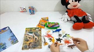 Play with Animal Toys for kids !!!