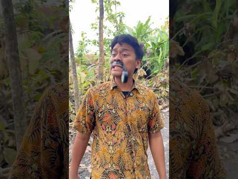 bapak serba lupa