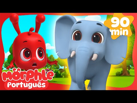 Morphle e os Animais Gigantes! | Maratona do Morphle! | Desenhos Animados Infantis em Português