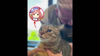 mambo cat