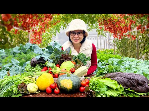 Harvesting vegetables and fruits in the backyard - My small dream garden