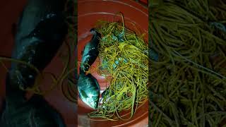 Napaka-tabang Bunak mga IDOL #fishing