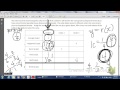 Pizza Ingredient Calculations and Ratios