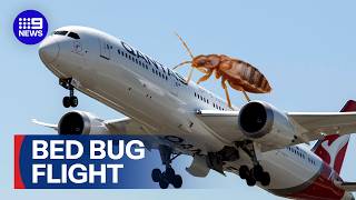 YouTube video thumbnail: Bed bug Outbreak Grounds Qantas Flight