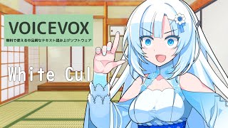 【VOICEVOX新キャラ紹介】第五期生、White Cul
