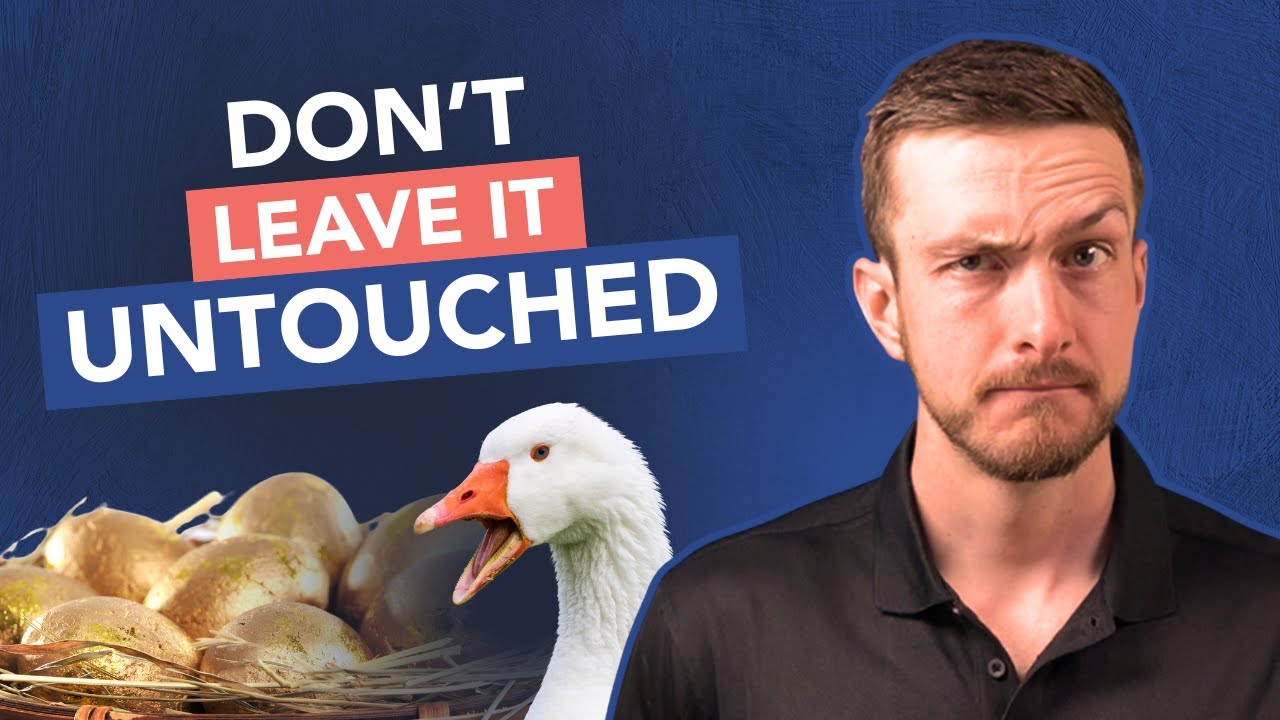 When (and When Not) to Use Your Roth IRA in Retirement