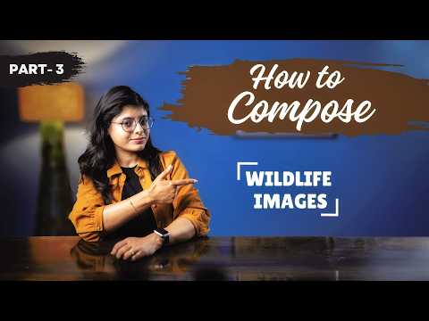 How to Compose Wildlife Photographs (PART 3) | Wildlife Photography Advance Composition Rules