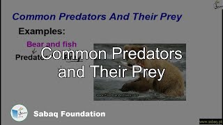 Common Predators and Their Prey