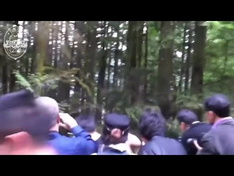 Tourists had an encounter with Bigfoot touring Mission BC, Canada