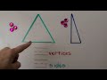 Triangles and Their Properties