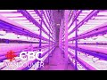 Vertical Farming and Sustainable Agriculture