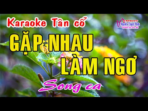 Karaoke tân cổ GẶP NHAU LÀM NGƠ – SONG CA [ Nhạc: Trần Thiện Thanh – Lời vọng cổ: Nancy Phạm]
