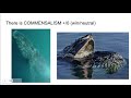Ecology Concepts and Key Principles Review