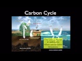 Carbon, Water, and Nitrogen Cycles