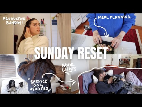 PRODUCTIVE SUNDAY VLOG: clean & reset with me! + weekly recipe plans, dog updates & BOOK CHATS!