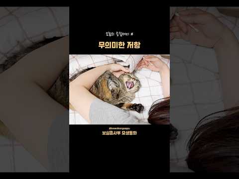 무의미한 저항👹 오늘의 승질머리