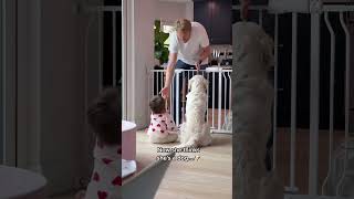 Our Baby thinks She is a Dog too! 😂