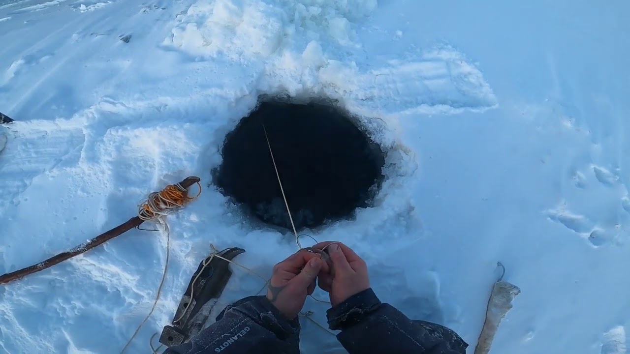 Отчёт с рыбалки на налима 19.12.2020 #44 Туруханский район