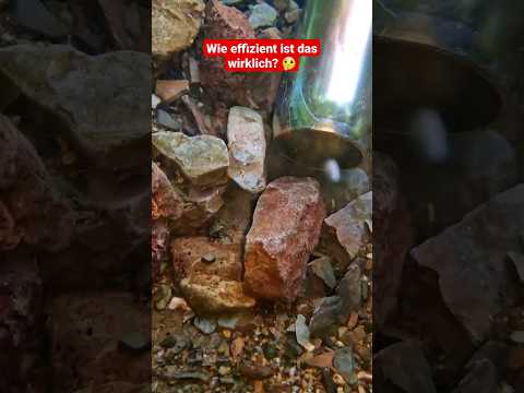 Das meiste Gold findest du so!? 🤫😍 #goldwaschen #goldwaschenindeutschland #goldsuchen #golddoktor